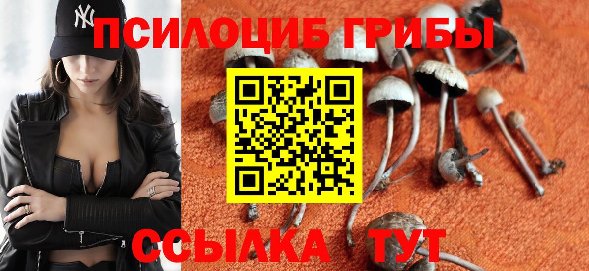 МЕТ  Волгодонск  А ПВП СК   Вход с VPN  Cocaine  Меф МЯУ МЯУ кристаллы  Конопля  ГАШ  ГАШ 