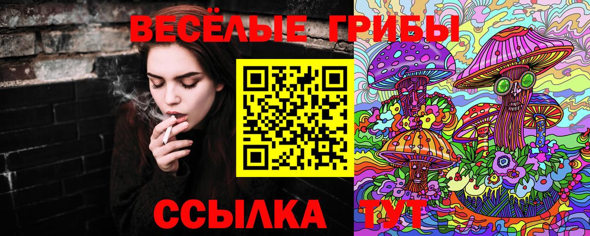 Волгодонск  Псилоцибиновые грибы мухоморы  Вход с VPN  Галлюциногенные грибы прущие грибы 
